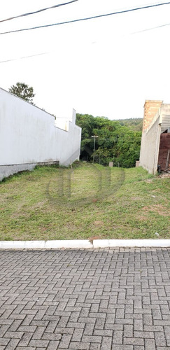 Imagem 2 de 2 de Terreno - Te00343 - 71167556