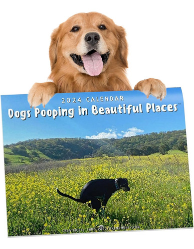 Dogs Pooping In Beautiful Places - Calendario De Pared 2024