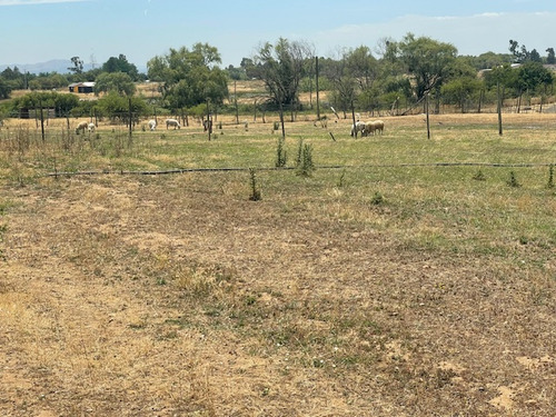 Vende Parcela Con Casa Y Mucho Mas, Region Maule