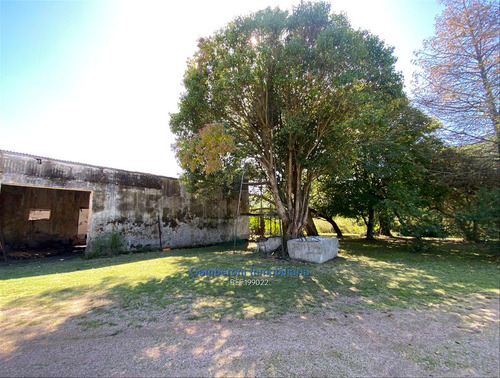 Imagen 4 de 17 de Muy Buen Predio De Casi 6 Hectáreas Con Casa Y Bodega.