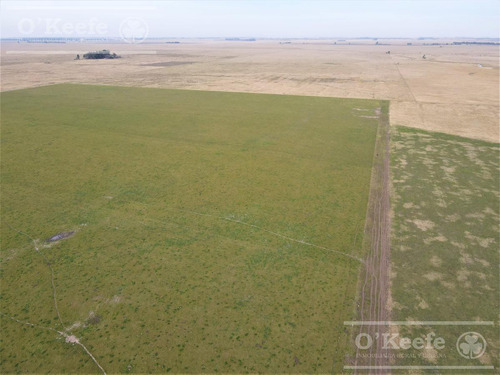 Imagen 24 de 29 de Campo Mixto De 170 Has En San Vicente. Oportunidad!