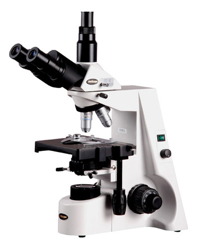 Amscope Microscopio Compuesto Trinocular T690b-pl, Aumento . Color Blanco