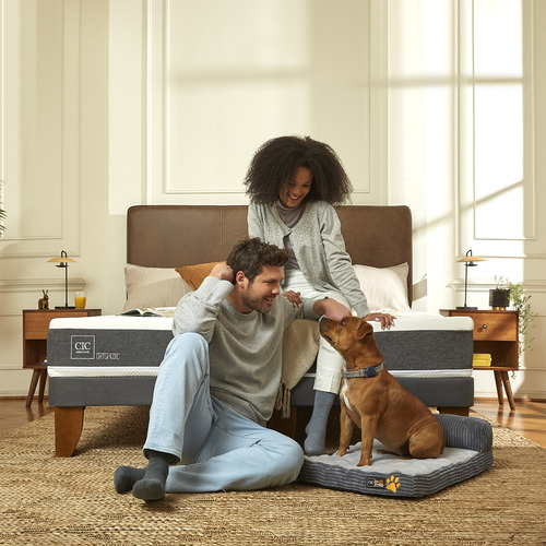 Cama Europea New Ortopedic King Respaldo Baker Gris