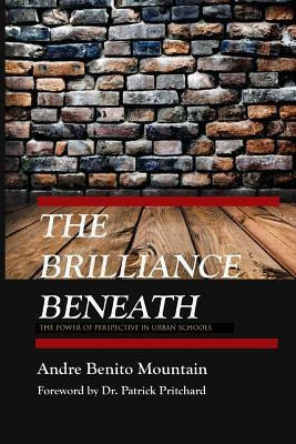 Libro The Brilliance Beneath : The Power Of Perspective I...