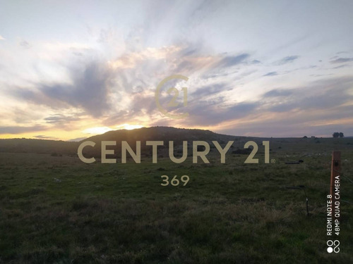 Imagen 15 de 19 de Se Vende Muy Lindo Campo Con Cañada !!