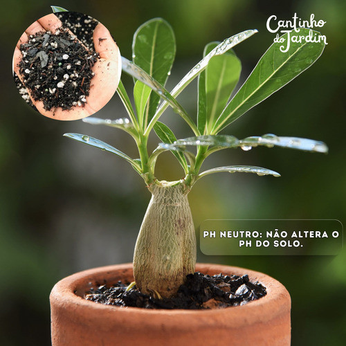 Substrato Para Rosas Do Deserto 5kg - Drenagem E Aeração