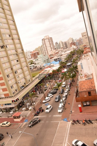 Apartamento En Peninsula, 2 Dormitorios *- Ref: 4764
