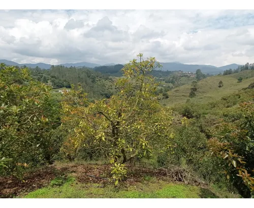Lote En Venta Proyecto De Parcelación En El Retiro, Vía Pantanillo