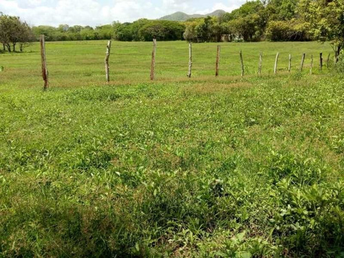 Imagen 5 de 15 de Finca En Venta. Gran Oportunidad.