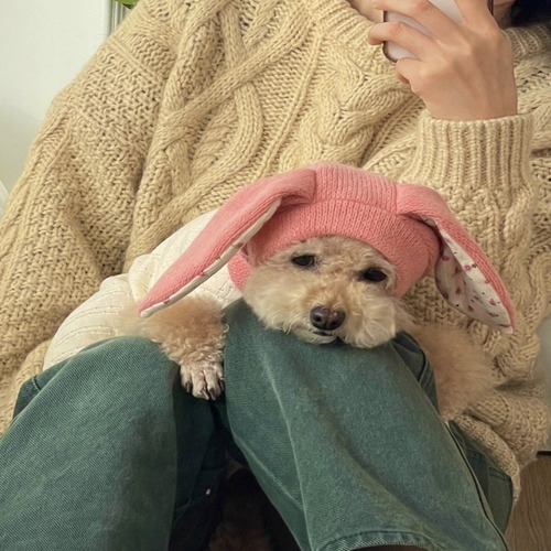 Gorro De Punto Con Orejas De Conejo, Disfraz De Perro, Decor