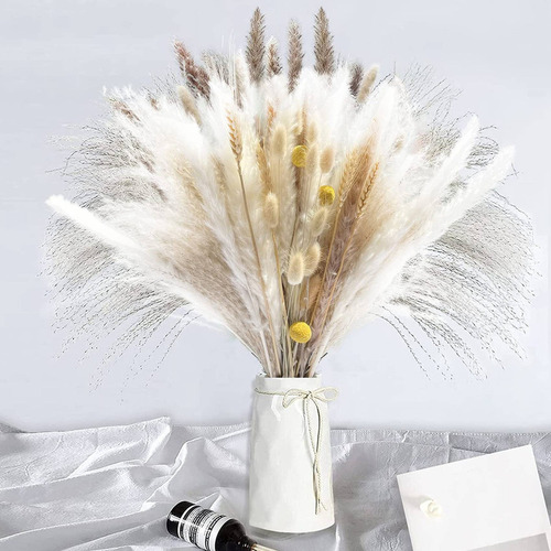 Ramo De Junco De Pampa Marrón Seco Natural Decoración Bohem