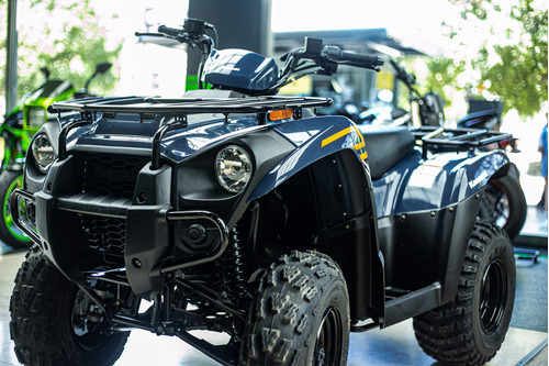 Kawasaki Brute Force 300 0km 2025 Cuatriciclo Lidermoto