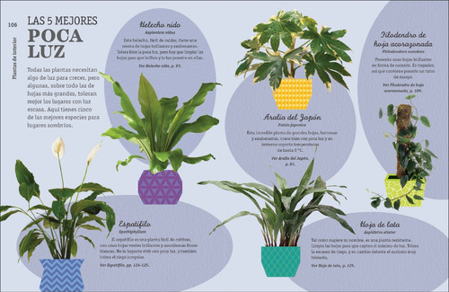 Cómo No Matar Tus Plantas (nueva Edición)
