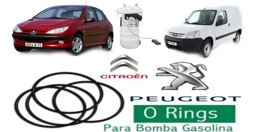 Oring Bomba De Gasolina Centauro Citroen Peugeot Partner 206