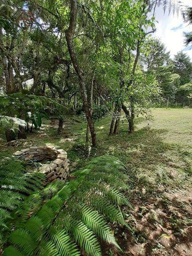 Chácara Com 1 Dormitório Para Alugar, 2000 M² Por R$ 5.000,00/mês - Botiatuva - Campo Largo/pr - Ch0016