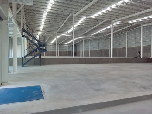 Bodega Junto Piq Con Andén Autonivelable Y Rampa