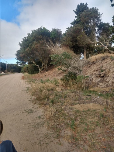 Imagen 12 de 15 de Terreno En Venta En Las Gaviotas