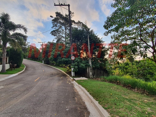Imagem 4 de 9 de Terreno Em Serra Da Cantareira - São Paulo, Sp - 315466