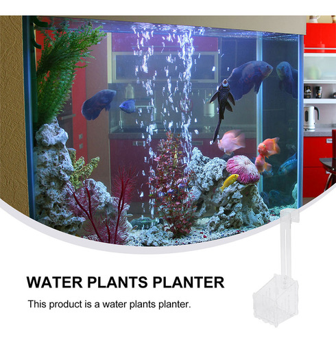2 Tazas De Agua Para Acuarios, Césped Y Paisaje, Agua Para P