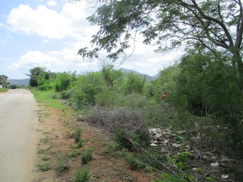 Terreno En Municipio Gómez Caserío Arismendi