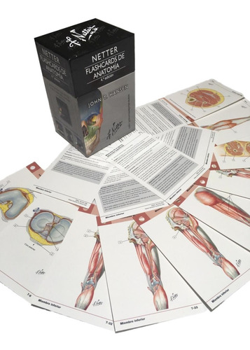 Netter Flashcards De Anatomía 5°ed Nuevooriginal Cuotas Sin Interés
