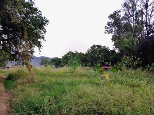 Imagen 12 de 17 de Terreno En Venta En Emiliano Zapata, Cuernavaca, Morelos