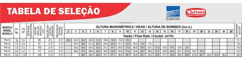 Bomba Centrifuga Alta Vazão Thebe Thi-13 3,0hp Motor Nova