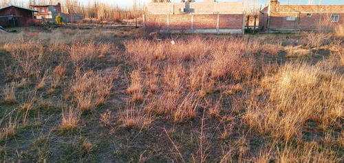 Imagen 3 de 4 de Venta - Lote 450 M2 - Loteo Amanecer - Cinco Saltos - Rio Negro