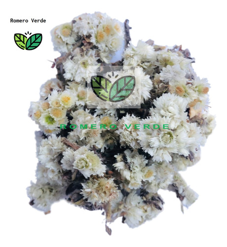 Té De Gordolobo 1 Kilo