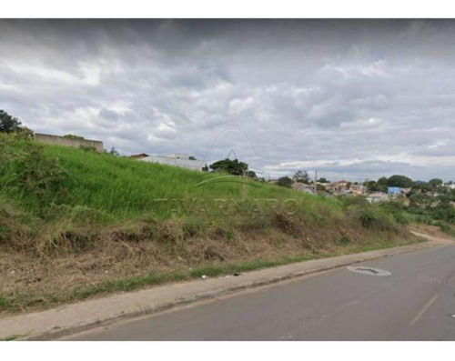 Imagem 1 de 3 de Terrenos - Ref: V3510