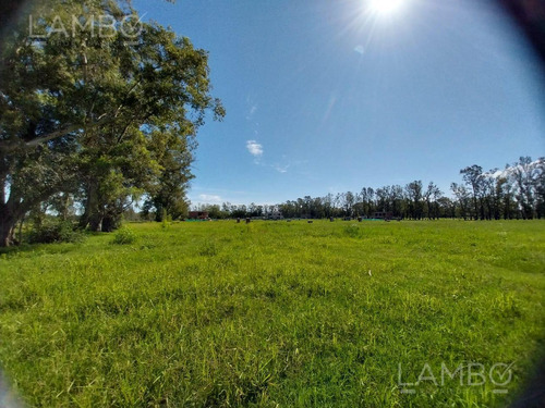 Venta Lote Pilar Del Este Santa Sofía