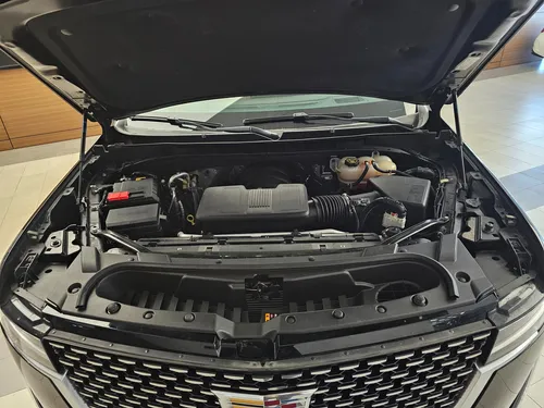 Escalade Suv Premium