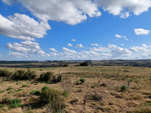 Quinta En Venta - Monoambiente En Maldonado (ref: Bpv-8881)