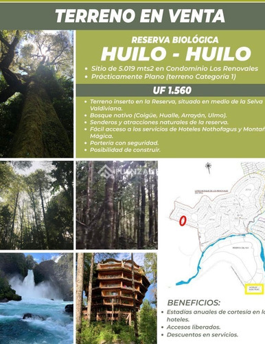 Parcela En Venta En Panguipulli