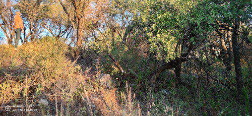 Imagen 4 de 4 de Inigualable Lote En Venta, Altos De Carpintería, Merlo, San Luis.