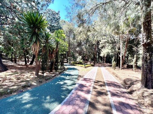 Imagen 17 de 26 de El Mejor Terreno De Colinas Del Bosque