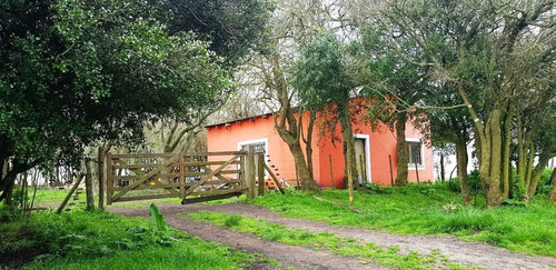 Imagen 14 de 21 de Campo En General Madariaga-