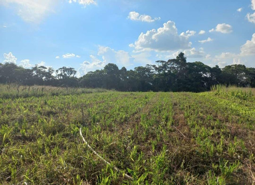 Imagem 17 de 27 de 01o=terreno A Venda
