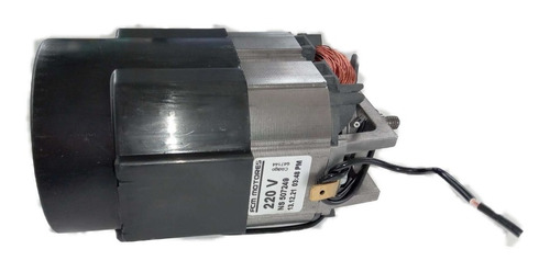 Motor Liquidificador Skymsem Lt1.5 Li1.5 Li2 3076 900w 220v