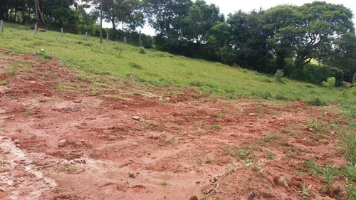 Imagem 4 de 5 de Terreno À Venda Em Bom Jardim - Te250702