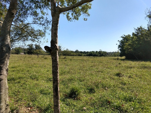 Chácara 20.000 M² - Costa Do Ipiranga - Gravataí - Rs - 1757 - 32430255