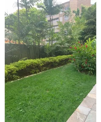 Apartamento en alquiler