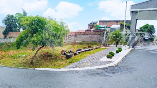 Imagem 5 de 18 de Terreno A Venda No Bairro Roça Grande Em Colombo - Pr. - 30177-1
