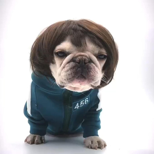 Peluca Para Mascota De Estilo Carré, Flequillo Recto, Marrón