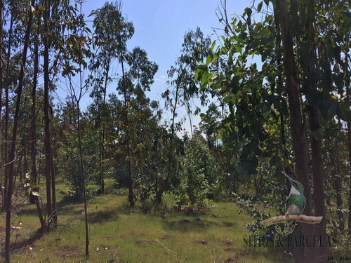 F-190 Valle Alegre, Quintero, 20.000m2