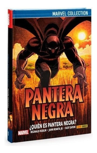 Pantera Negra ¿quien Es Pantera Negra? (t.d)
