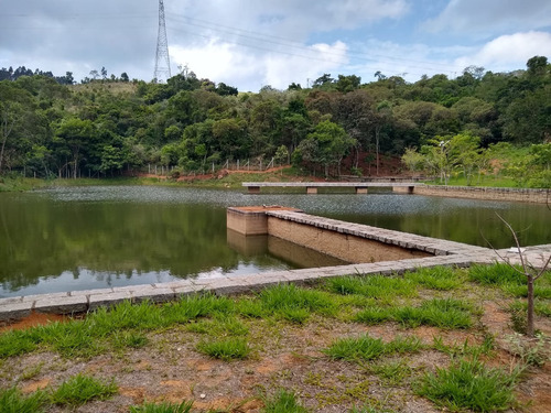 Imagem 2 de 22 de Fazenda 63 Alqueires, Rica Em Água Com 5 Lagos, 3 Casas Amplas, 3 Barracões, 1 Mangueirão, 1 Cocheira, 1 Galinheiro, 3 Casas De Funcionários, Pasto - Fa00189 - 70540162