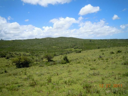 Campo En Venta En Garzón Rural