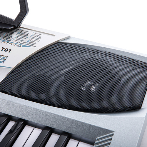 Teclado Organo Electronico Musical Instrumento 54 Teclas Color Gris 110V/220V