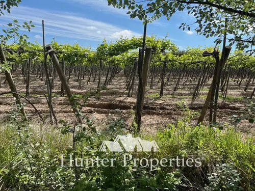 Terreno Construccion En Venta En Linares